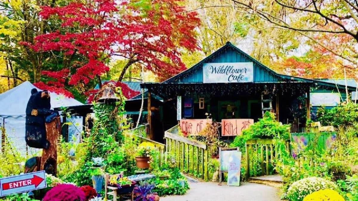 The Magpie Nest Apartment Mentone Exterior photo